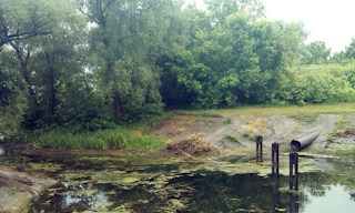 Экологические услуги от ПромМир-Кбш в Куйбышеве - стоимость от 12443 руб.
