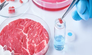 Лабораторный анализ пищевых продуктов по СанПиН в Куйбышеве в октябре
