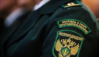 Подготовка к проверке Росприроднадзора в Куйбышеве от ПромМир-Кбш, стоимость услуги от 20738 руб.